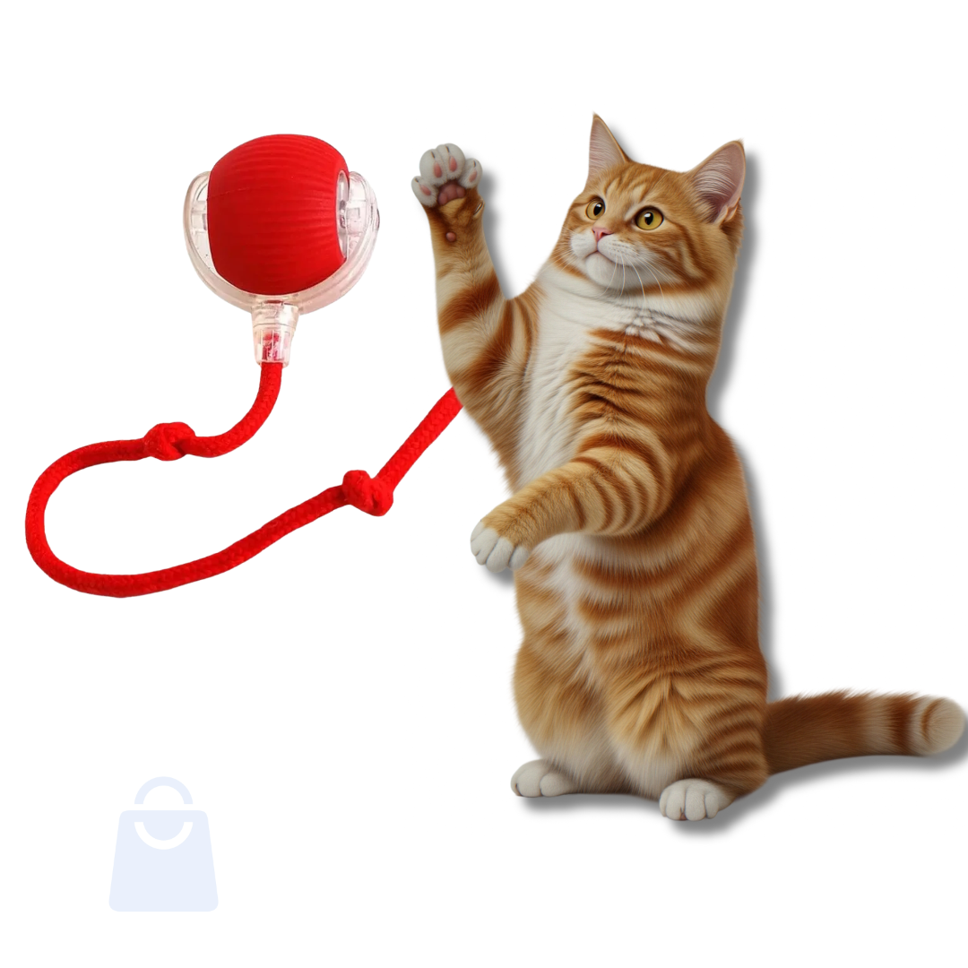 PetJoy 360 – Diversão Automática para Cães e Gatos