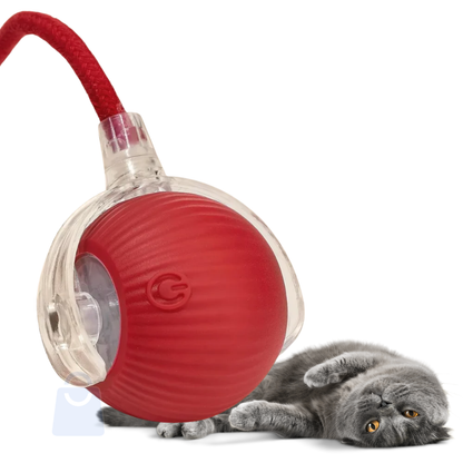 PetJoy 360 – Diversão Automática para Cães e Gatos