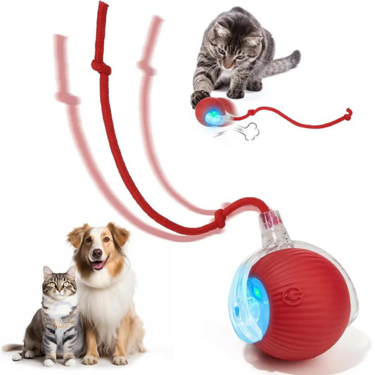 PetJoy 360 – Diversão Automática para Cães e Gatos